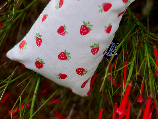 Strawberries Kicker Toy