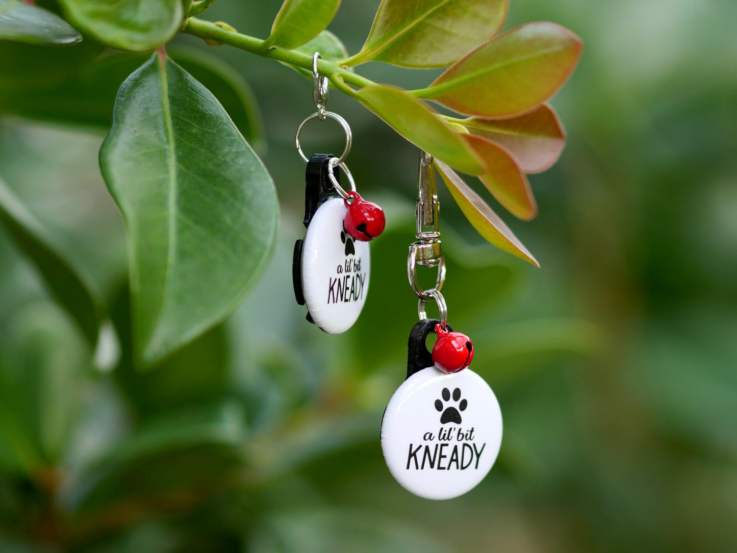 Kneady Pet Tag