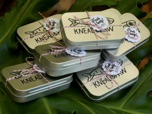 Salty Sardine Catnip Toy Set