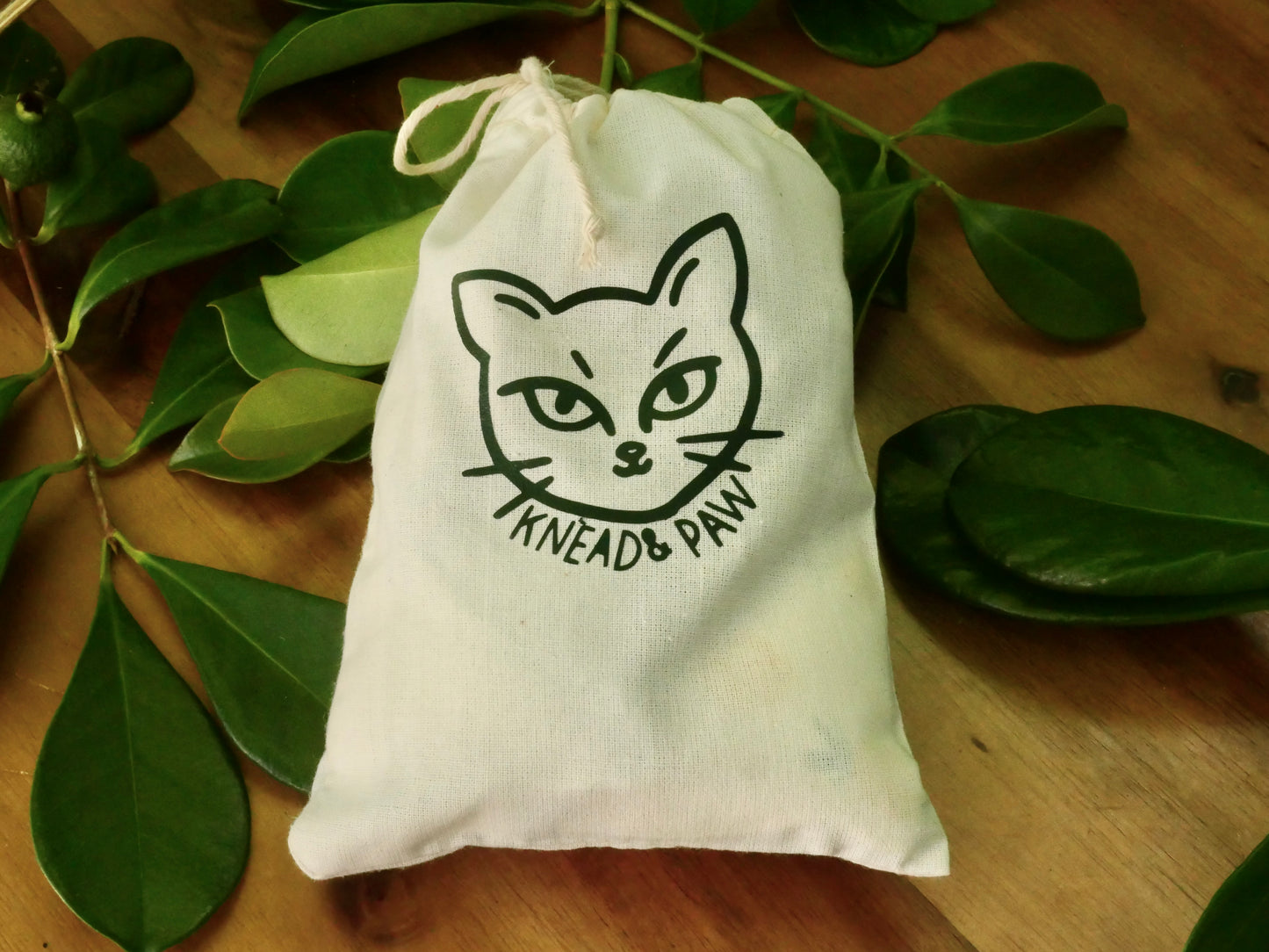 Catnip Pillow Toy Set