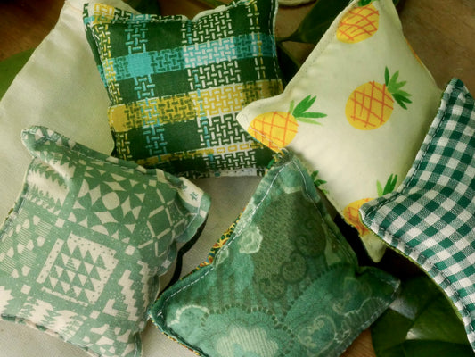 Catnip Pillow Toy Set