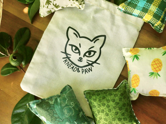 Catnip Pillow Toy Set