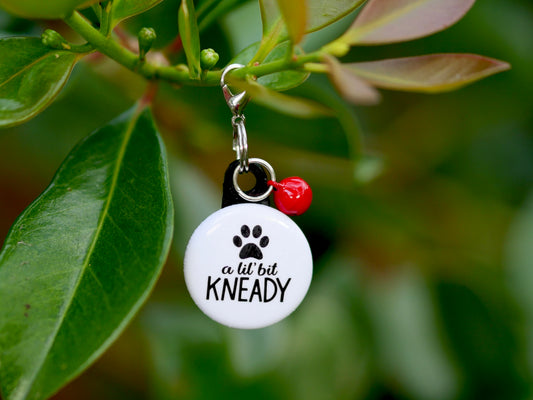 Kneady Pet Tag